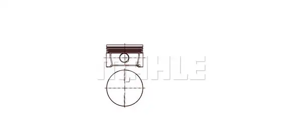 MAHLE 028 PI 00126 000