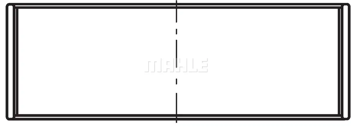 MAHLE 029 PL 21925 025