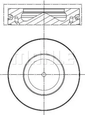MAHLE 081 PI 00113 000