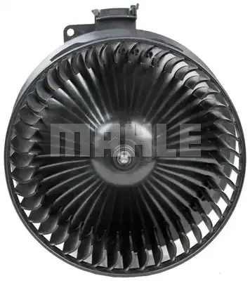 MAHLE AB 255 000P