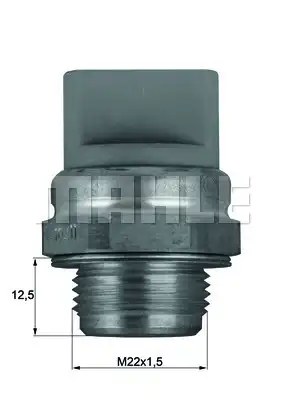 MAHLE TSW 11
