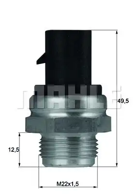 MAHLE TSW 13D