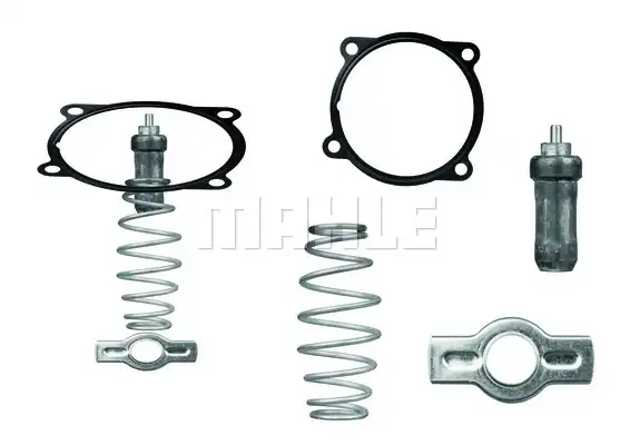 MAHLE TX 51 79D