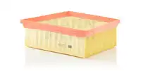 MANN-FILTER C 22 031