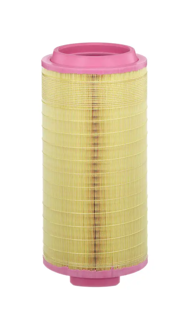MANN-FILTER C 25 024/1