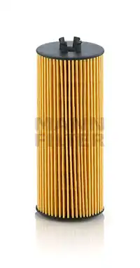 MANN-FILTER HU 6008 z