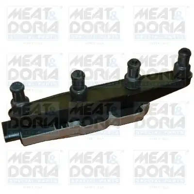 MEAT & DORIA 10333