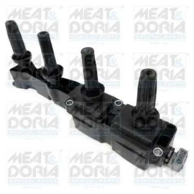 MEAT & DORIA 10405