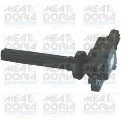 MEAT & DORIA 10412