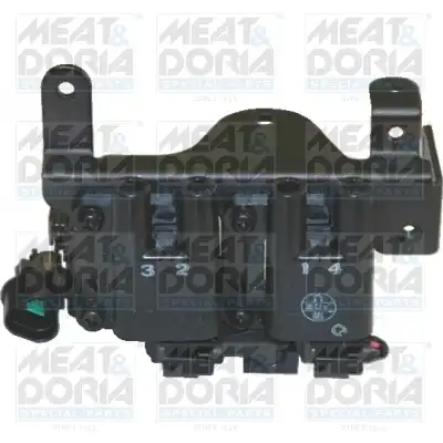 MEAT & DORIA 10491