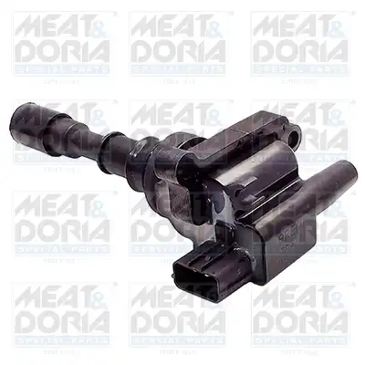 MEAT & DORIA 10506