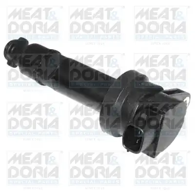 MEAT & DORIA 10582