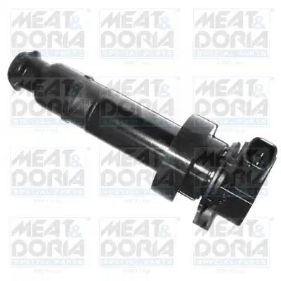 MEAT & DORIA 10591