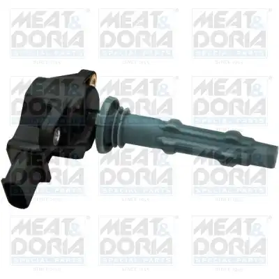 MEAT & DORIA 10600
