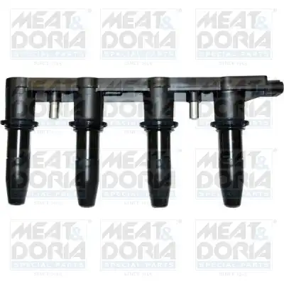 MEAT & DORIA 10604
