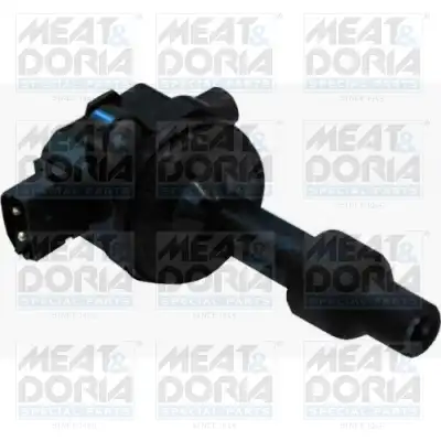 MEAT & DORIA 10605