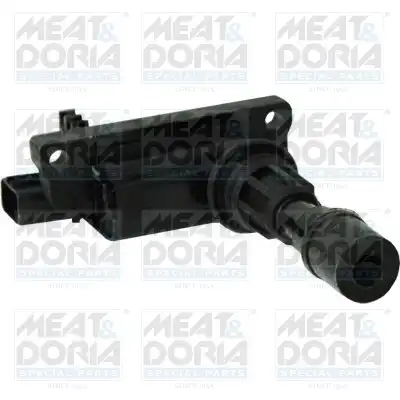 MEAT & DORIA 10674