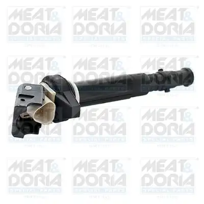 MEAT & DORIA 10796