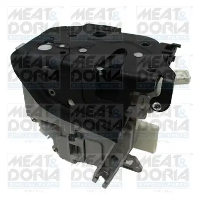 MEAT & DORIA 31382