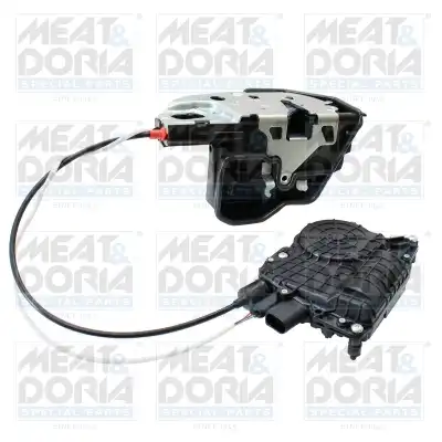 MEAT & DORIA 31790
