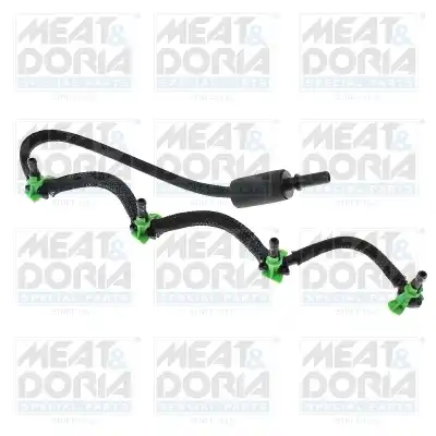 MEAT & DORIA 98102