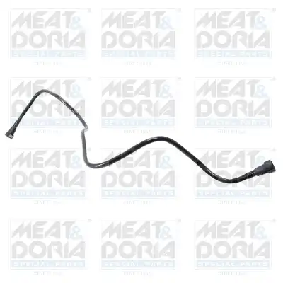 MEAT & DORIA 98117