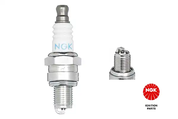 NGK 3365