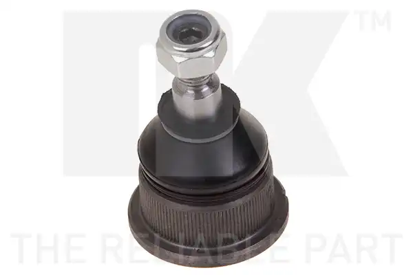 NK 5041503