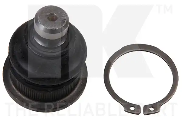 NK 5043941