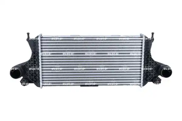 NRF 309082