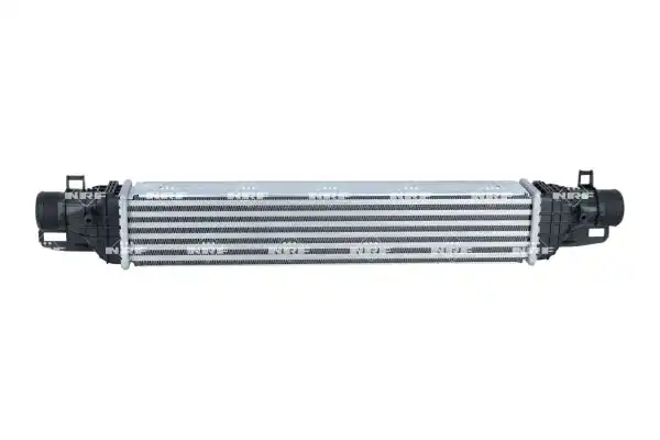 NRF 309096