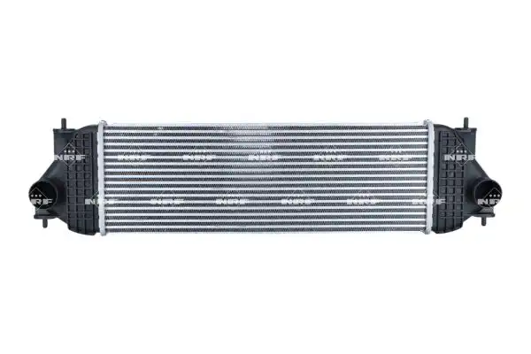 NRF 309099
