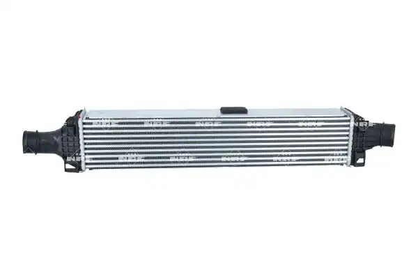 NRF 309101