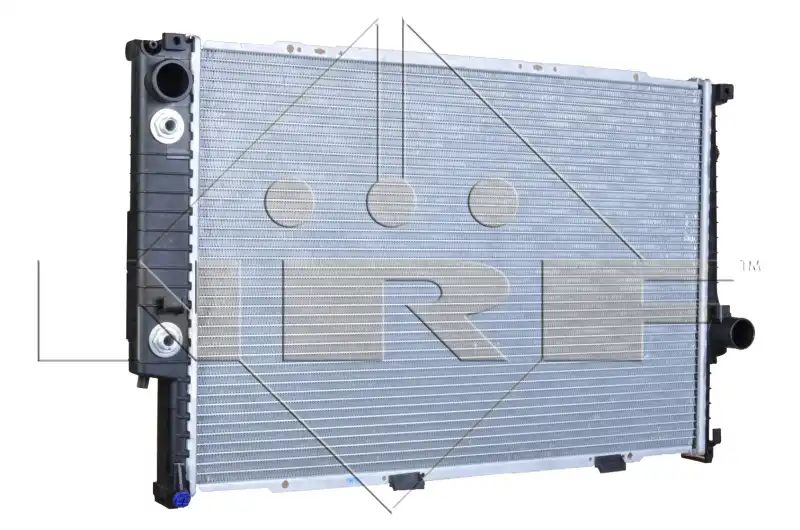 NRF 519589