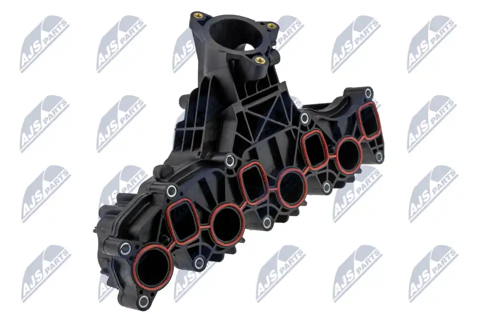 NTY BKS-VW-011