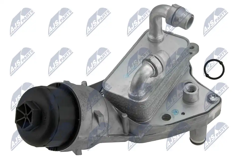 NTY CCL-PL-005