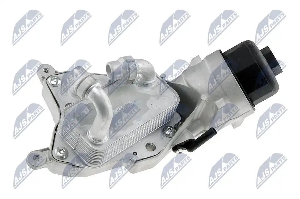 NTY CCL-PL-006