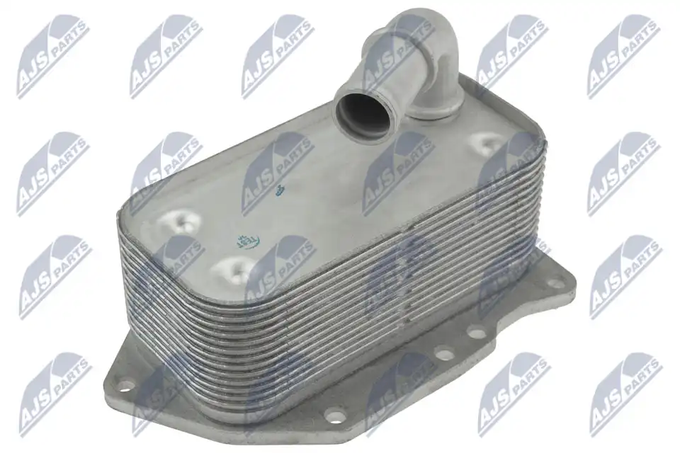 NTY CCL-PL-020