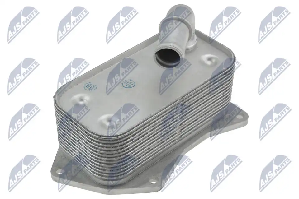 NTY CCL-PL-021
