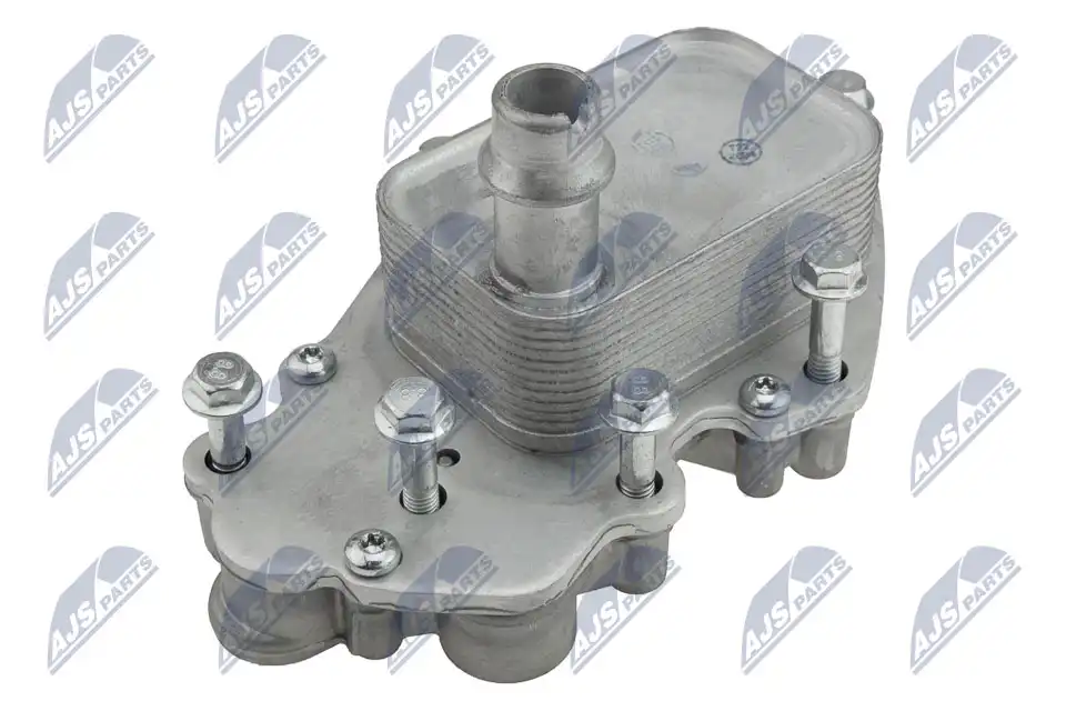 NTY CCL-PL-024