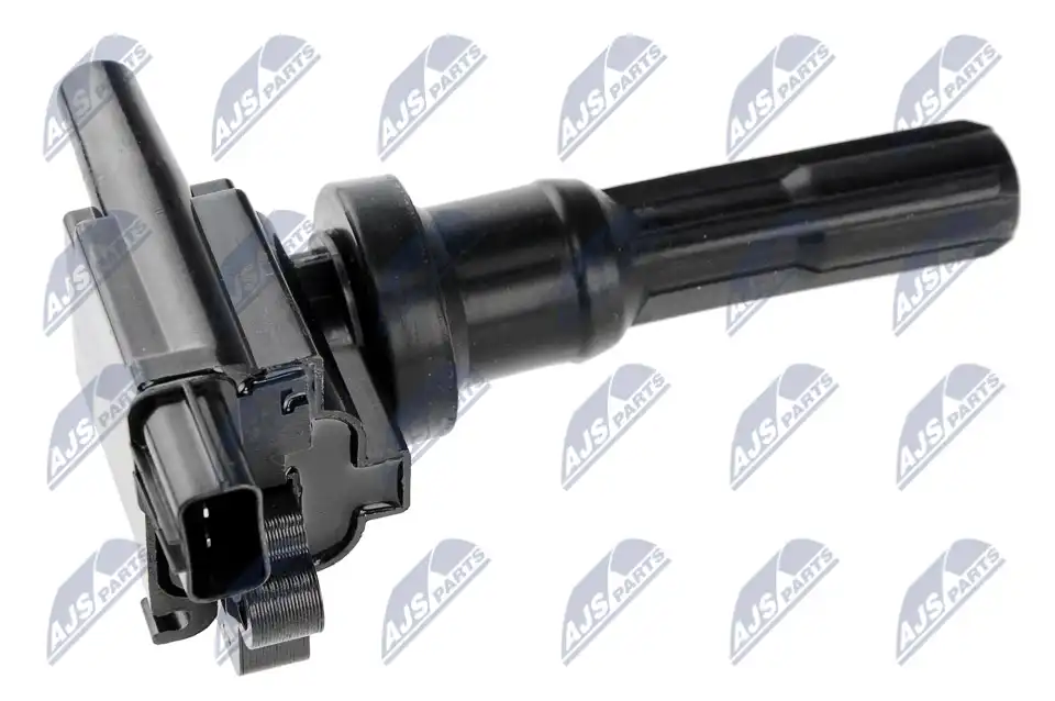 NTY ECZ-MS-012