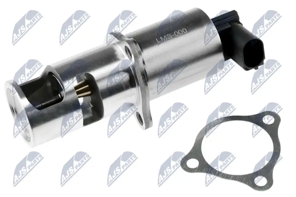 NTY EGR-MS-000