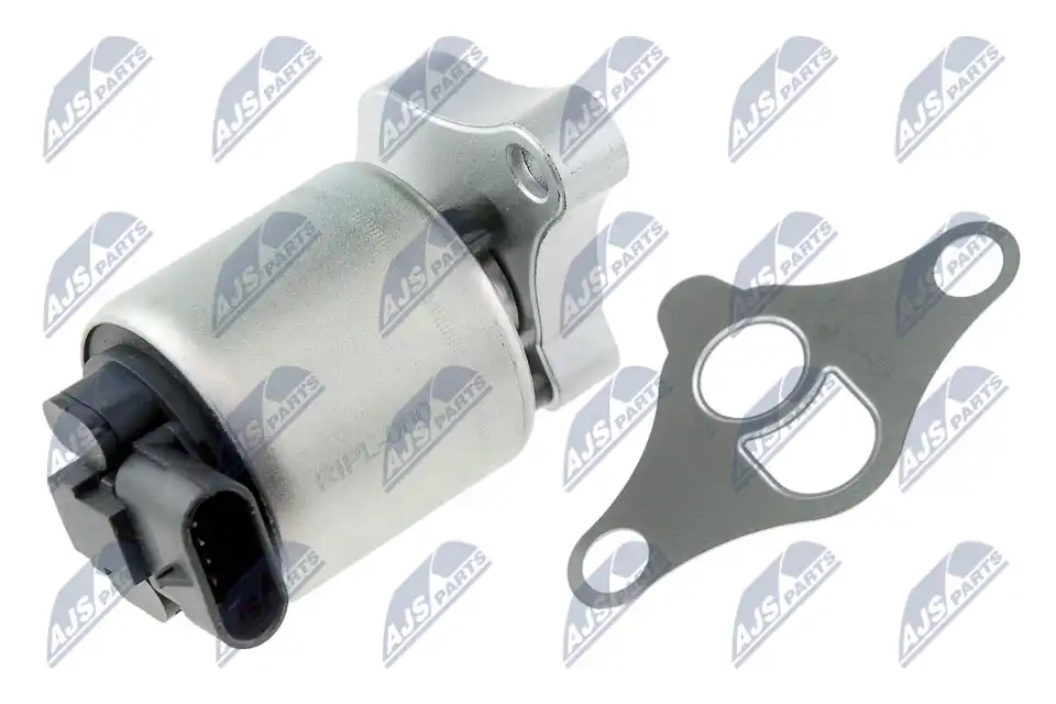 NTY EGR-PL-000