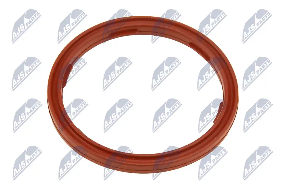 NTY EPO-BM-010