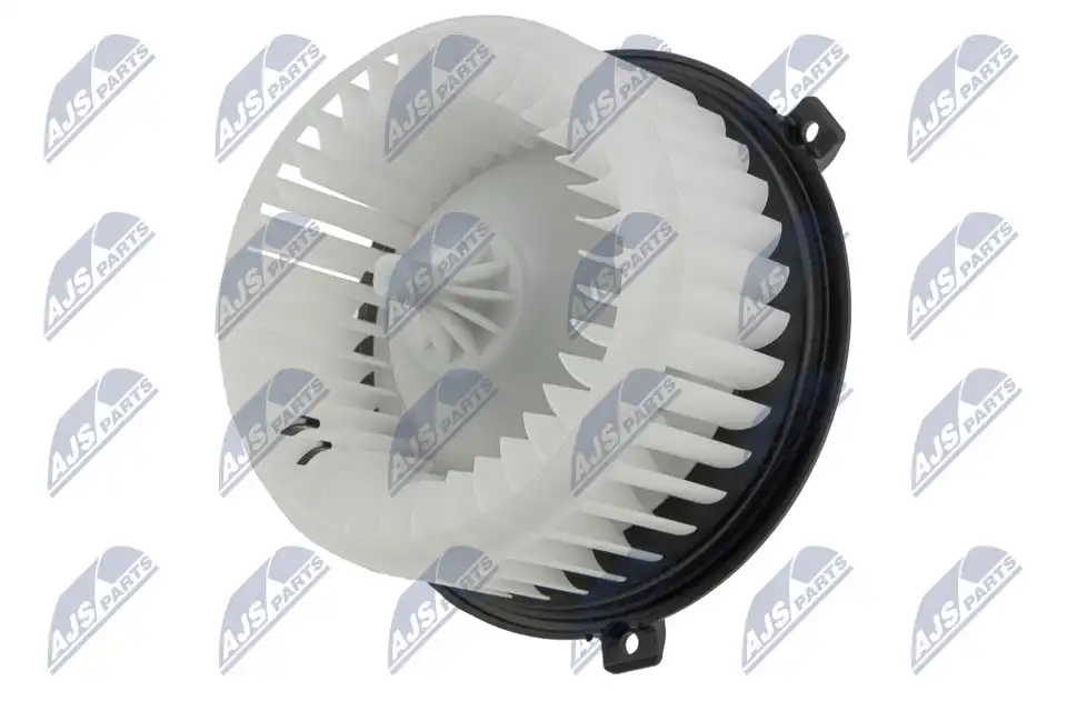 NTY EWN-PL-004