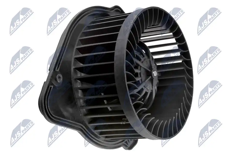 NTY EWN-VV-003
