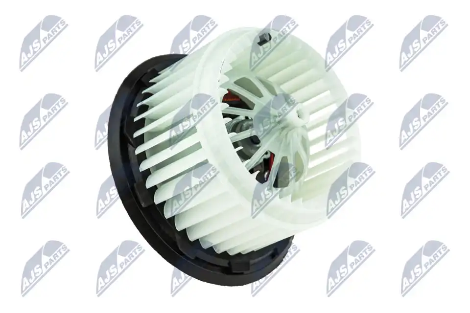 NTY EWN-VW-010