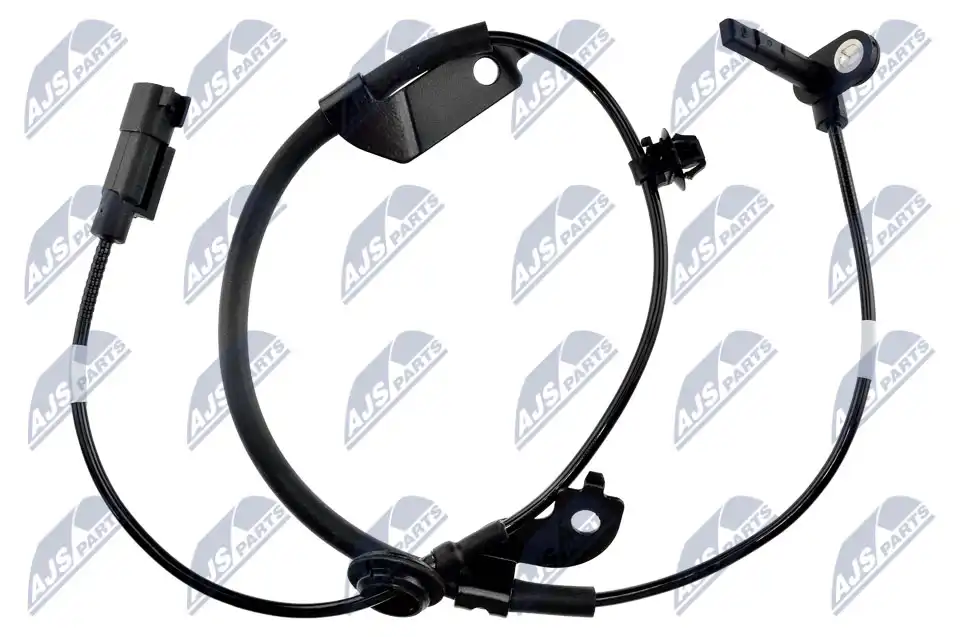 NTY HCA-MS-019
