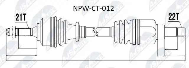 NTY NPW-CT-012