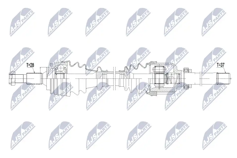 NTY NPW-CT-097